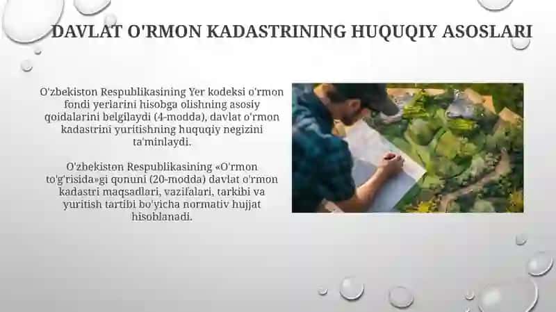 Davlat oʻrmon kadastrining huquqiy asoslari 3
