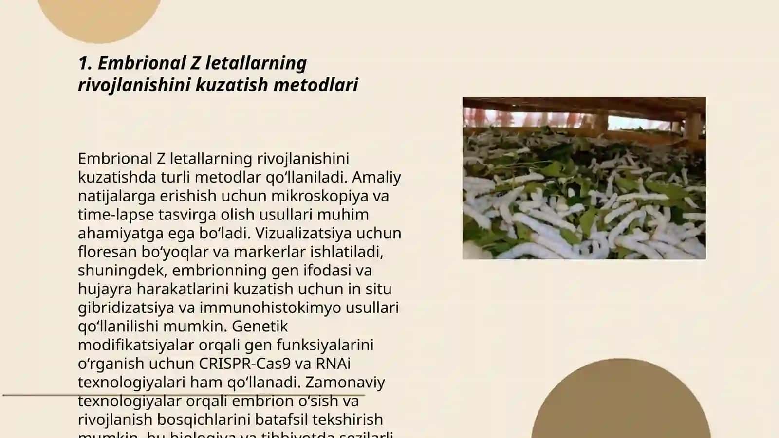 Tut ipak qurtining embrional Z letallarini monitoringi va erkak jinsli yangi duragay kombinatsiyalarida xo'jalik belgilarini tadqiq etish 3