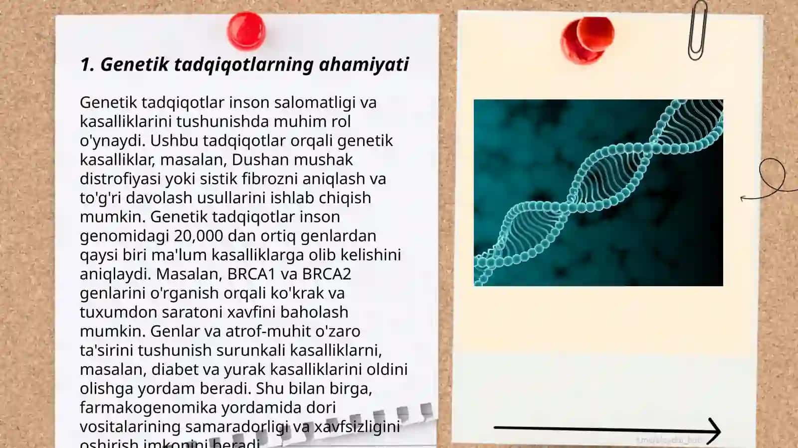 Genetik tadqiqotlarni yólga qóyilishi 3