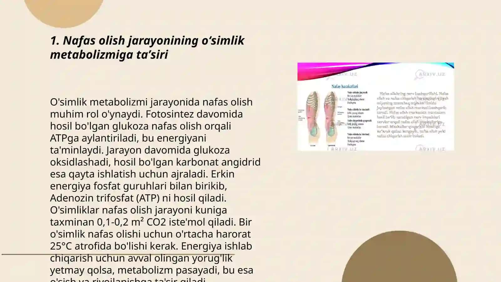 Nafas olish jarayonining oʻsimlik metabolizmidagi oʻrni 3