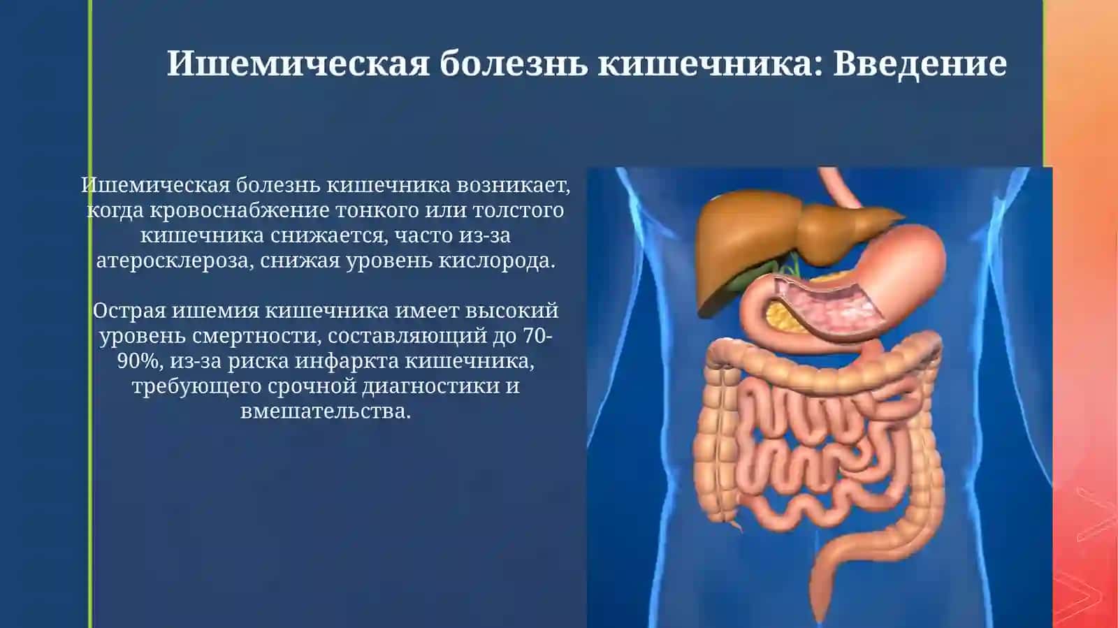 Презентация 3