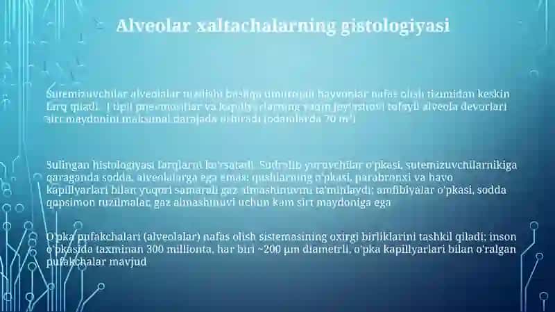 Nafasolishaʼzolarining qiyosiysgistalogik tavsifi 3