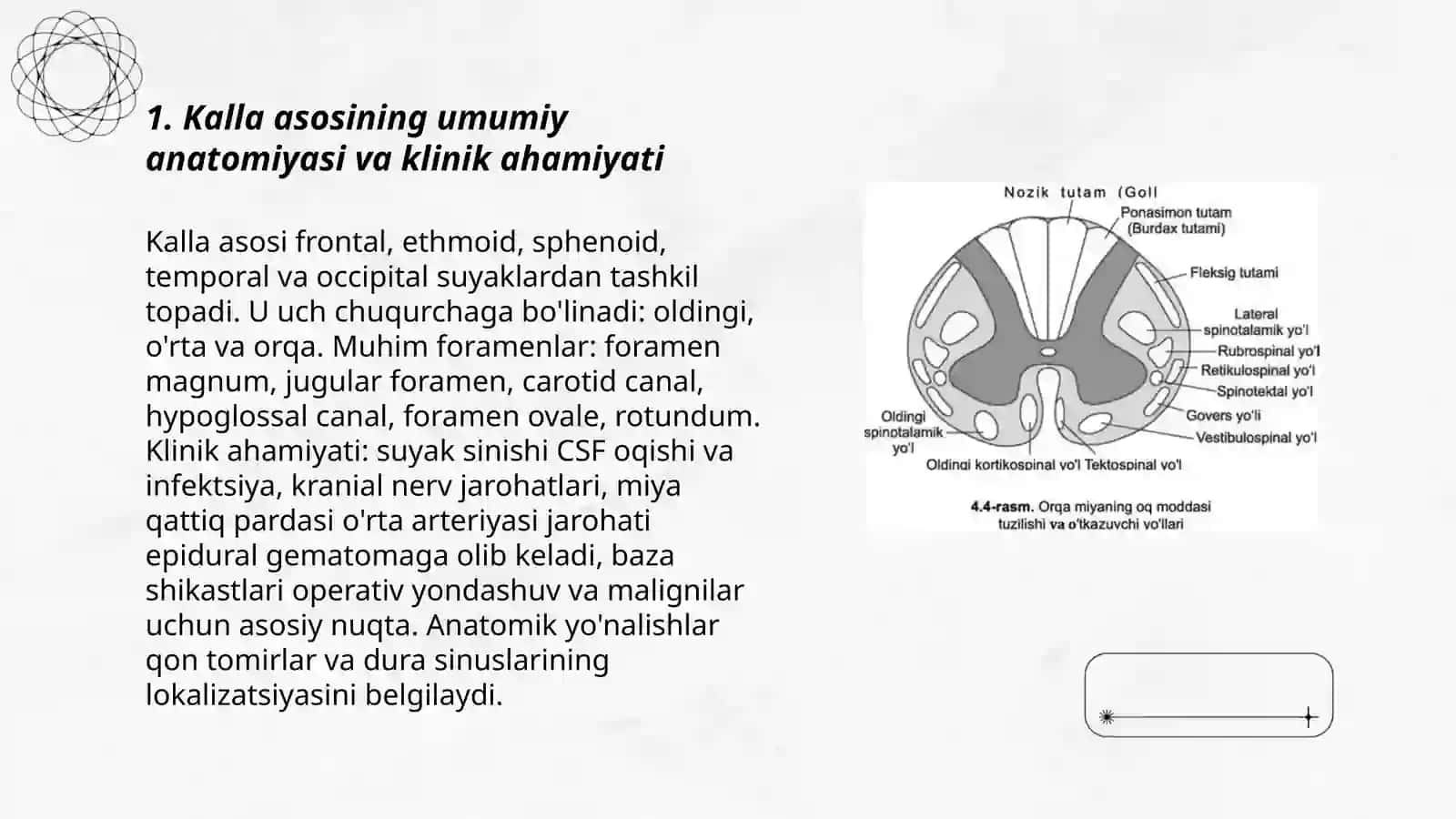 Kalla asosining Kinik anatomiyasi: miya pardalari, pardalararo bo'sЫiqlar va kalla-miya topografiyasi (Ikonleyn-Вrлrsоча chizrnasi). Bosh miyani qon bilan ta'minlanisЫ 3