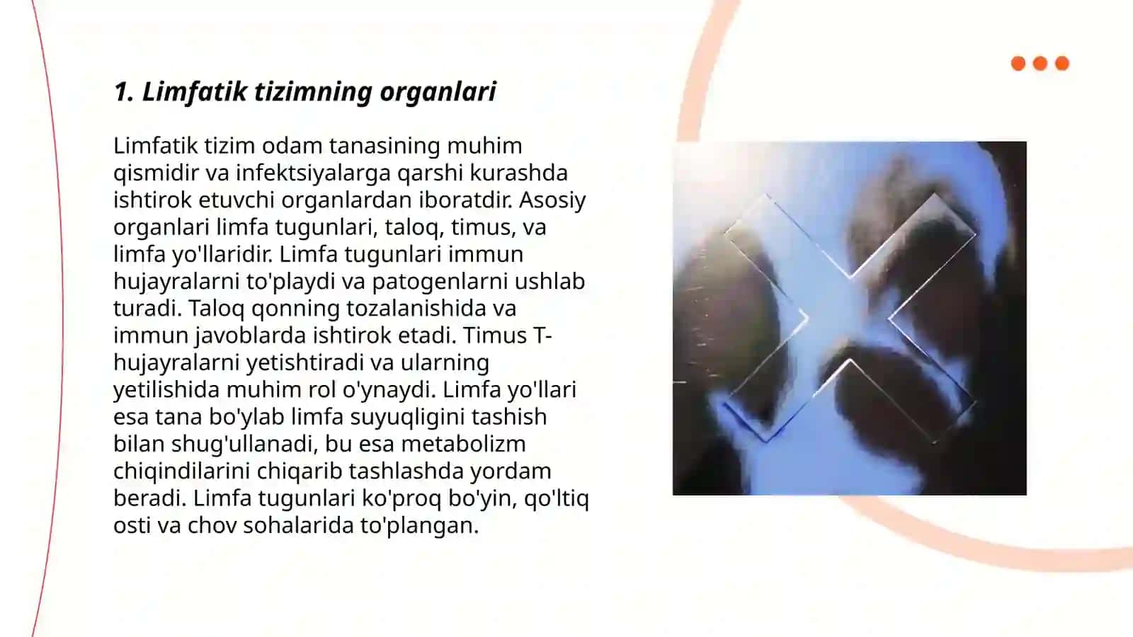 Immun sistemasiga kiruvchi organlarni oʻrganish 3