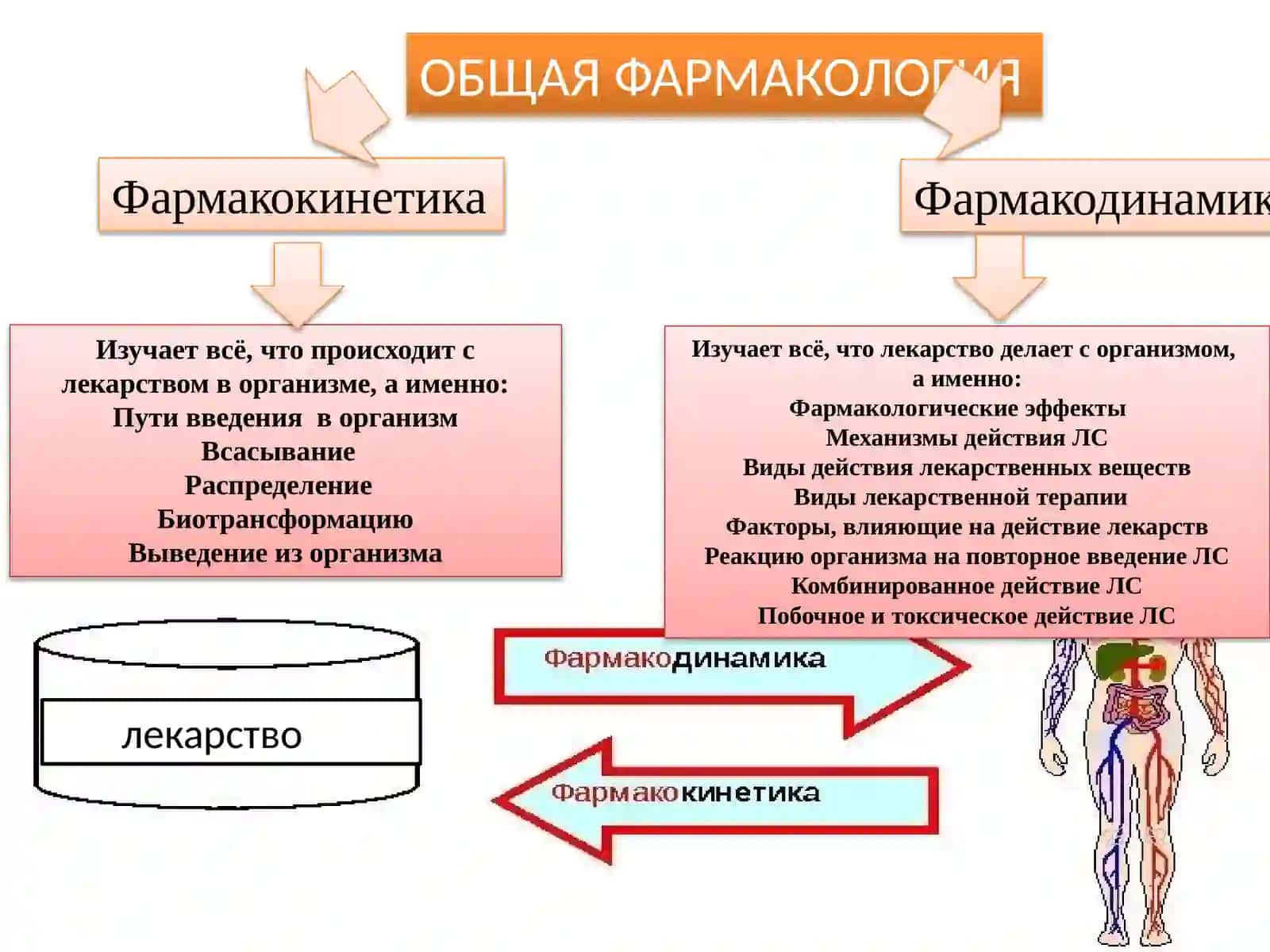 ОБЩАЯФАРМАКОЛОГИЯ 3
