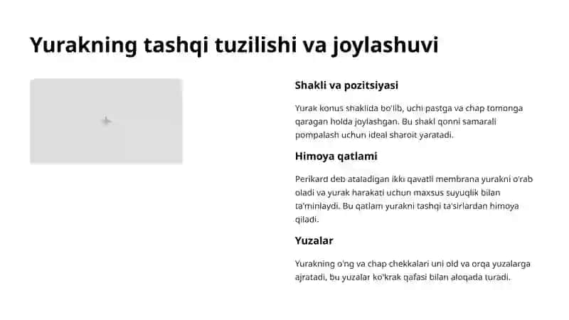 Yurakning tashqi va ichki tuzilishi 3