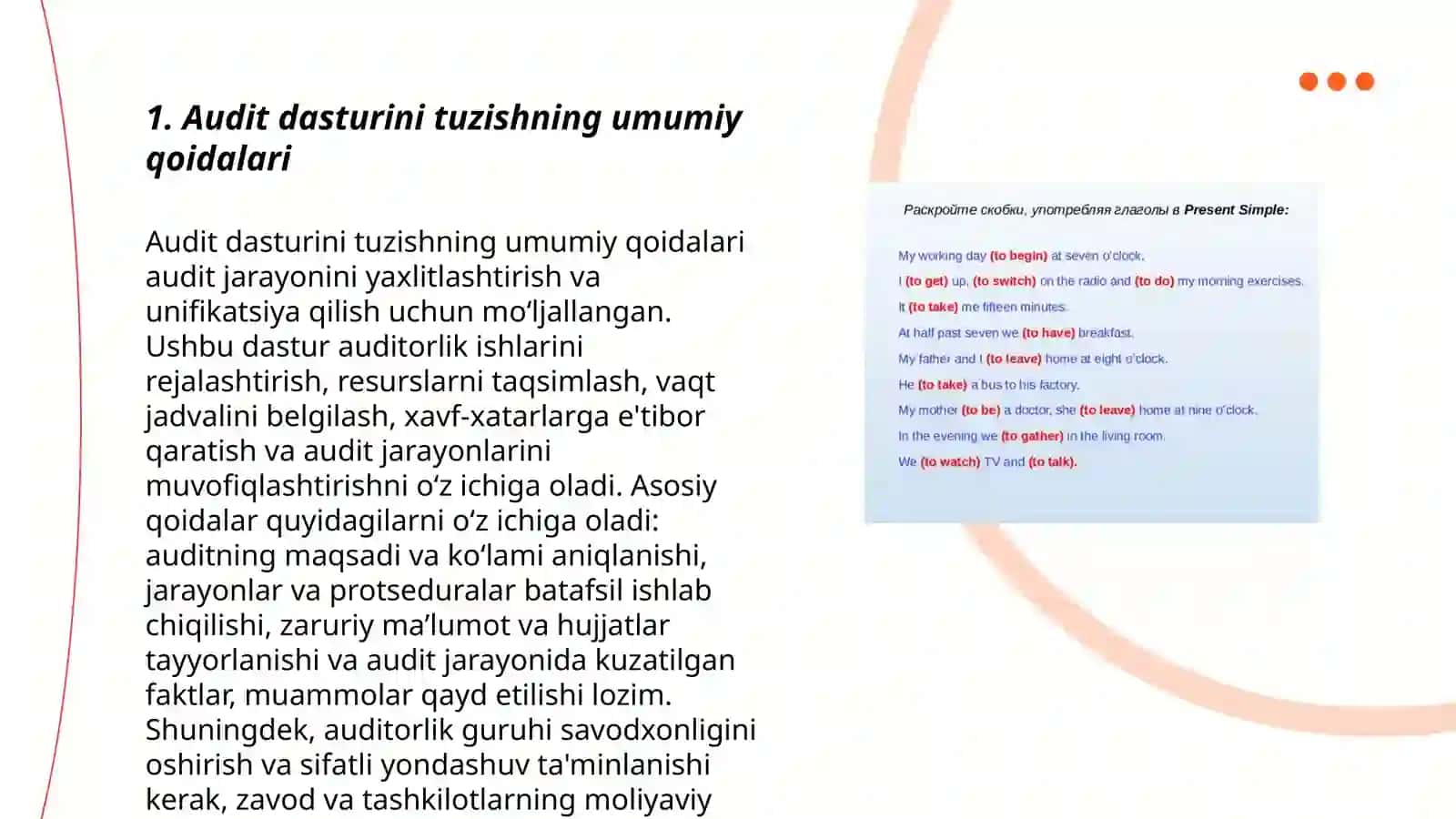 Audit dasturini tuzish va undan foydalanish tartibi 3