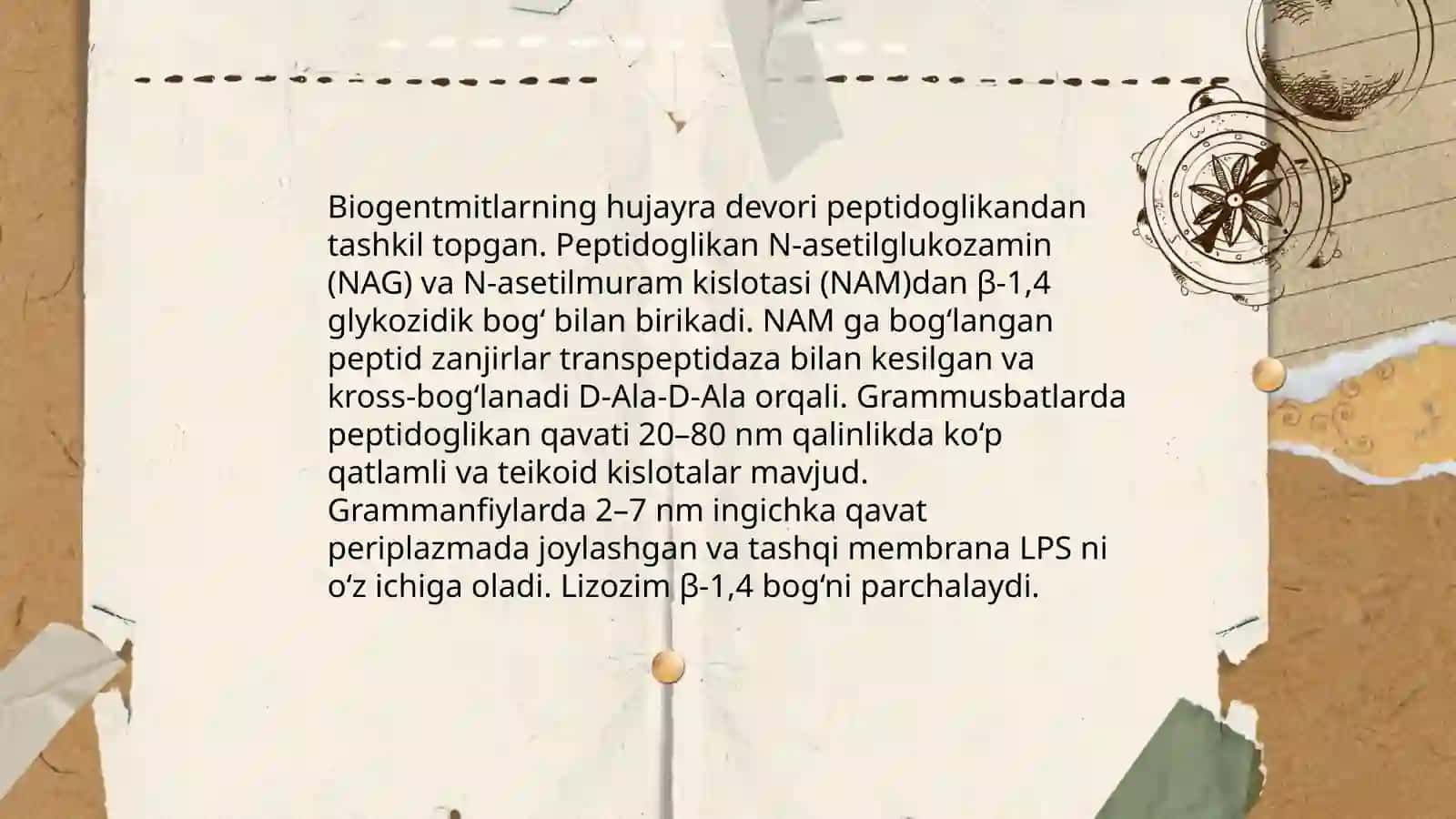 Biogentmitlarning hujayra devori va peptidoglikan tuzilishi 3