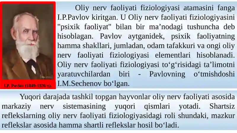Oliy nerv faoliyati 3