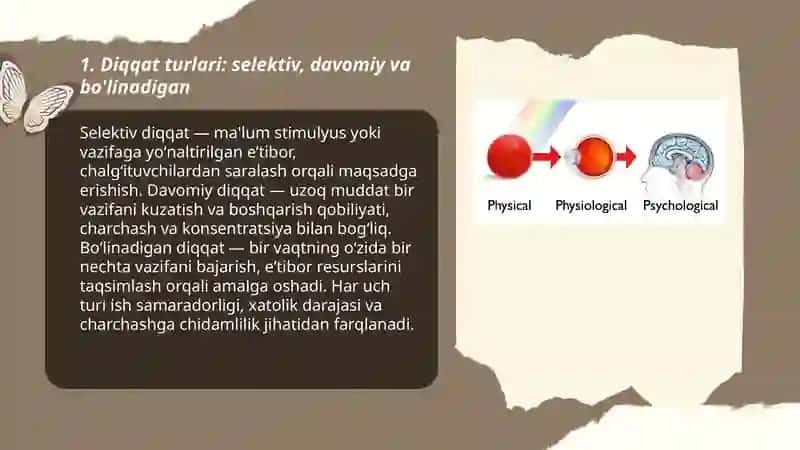 Diqqat Sezgi Idrok 3