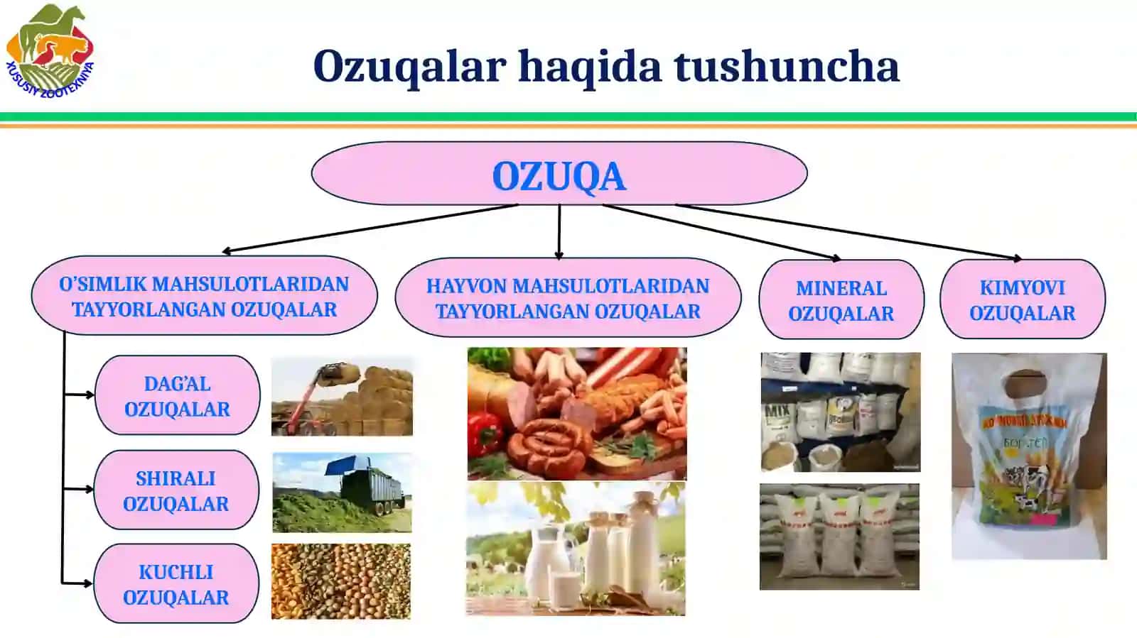 Adabiyotlar ba’zasidan 3