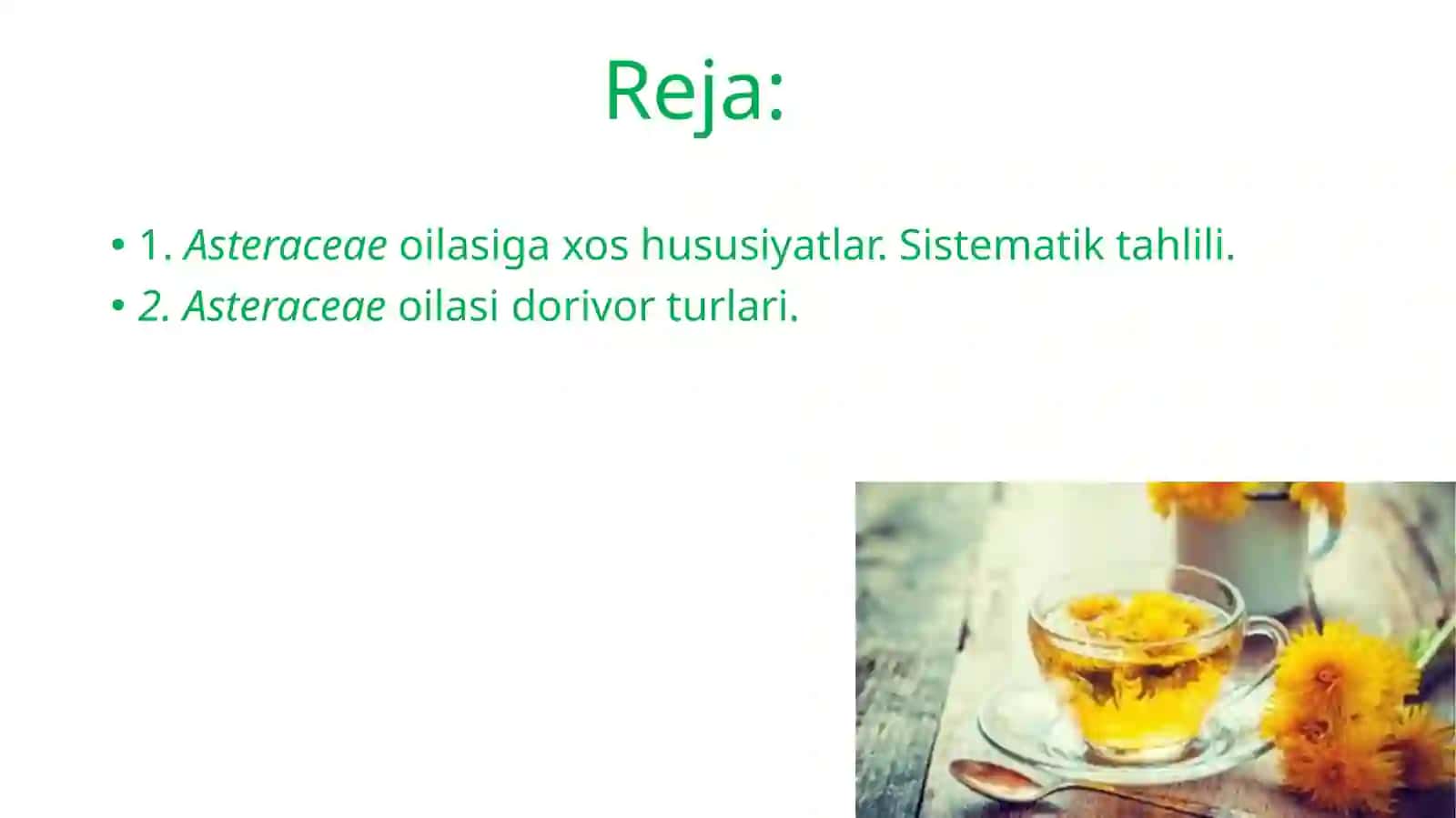 Qoqidoshlar(Asteraceae) 3