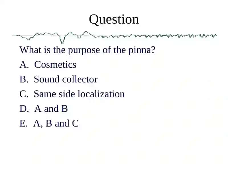 Pinna 3