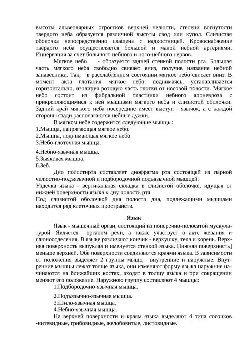 Общая анатомия пищеварительной системы. Органы дыхания 3