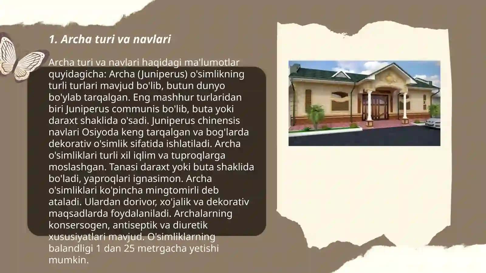 Archa turi, Oddiy tog'jambul evkalipt turlari, qiyin osimliklari 3
