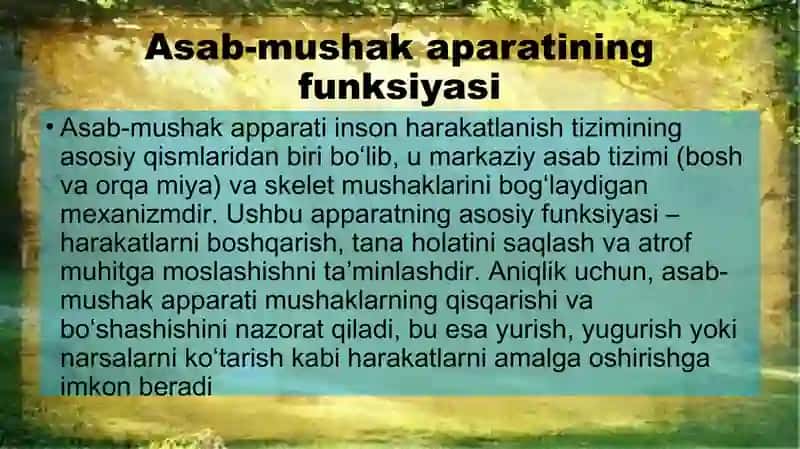 Inson harakatlanish tizimi 3