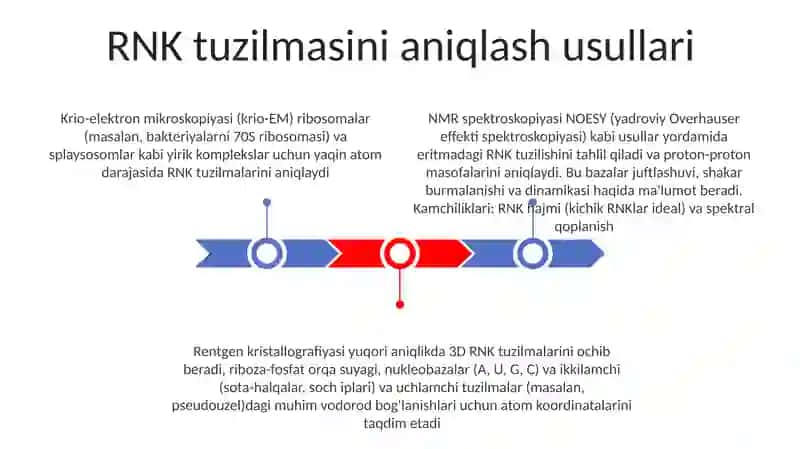 RNKning makromolekulyar strukturasi 3