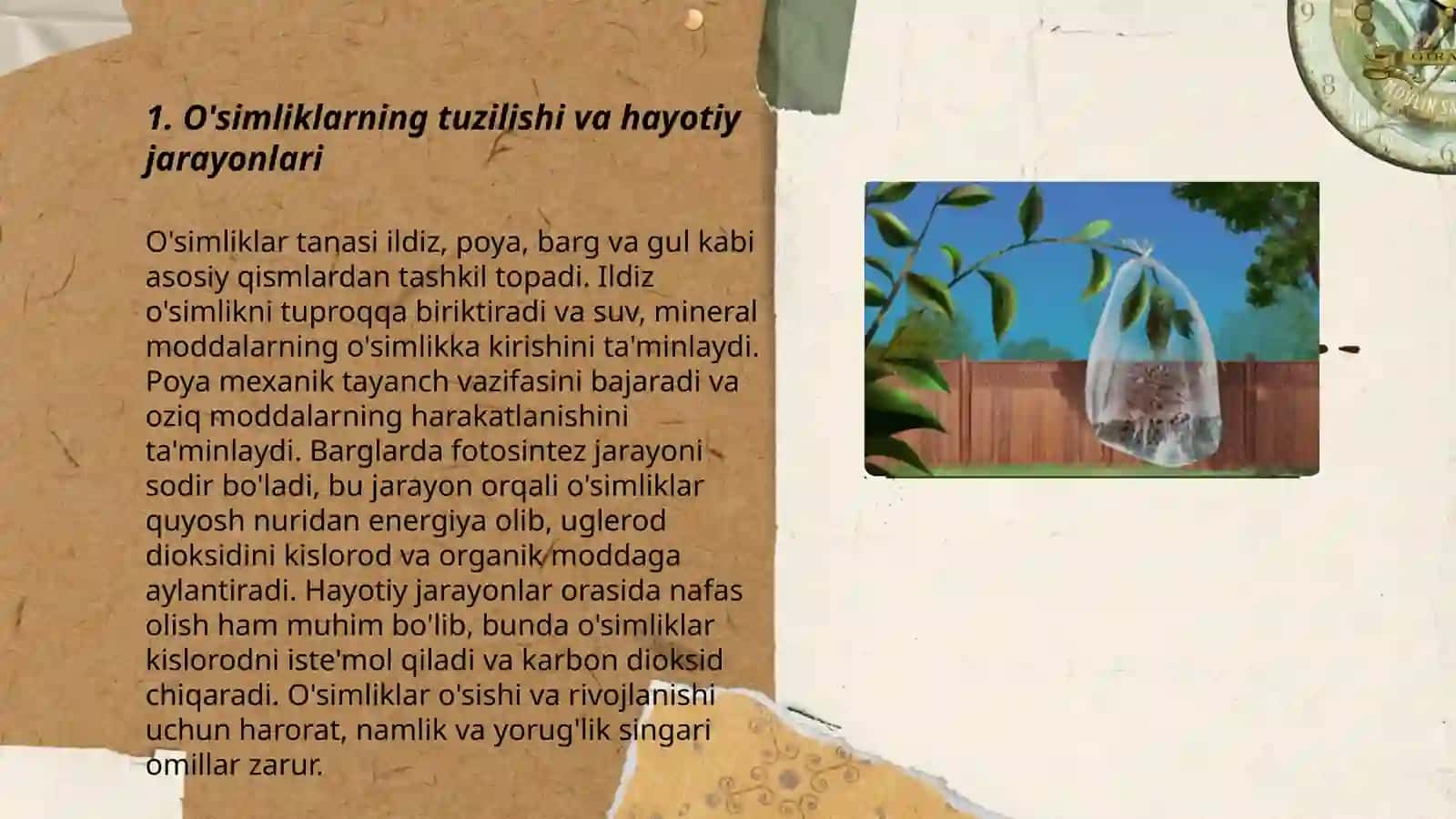 O'simliklar fiziologiyasi 3