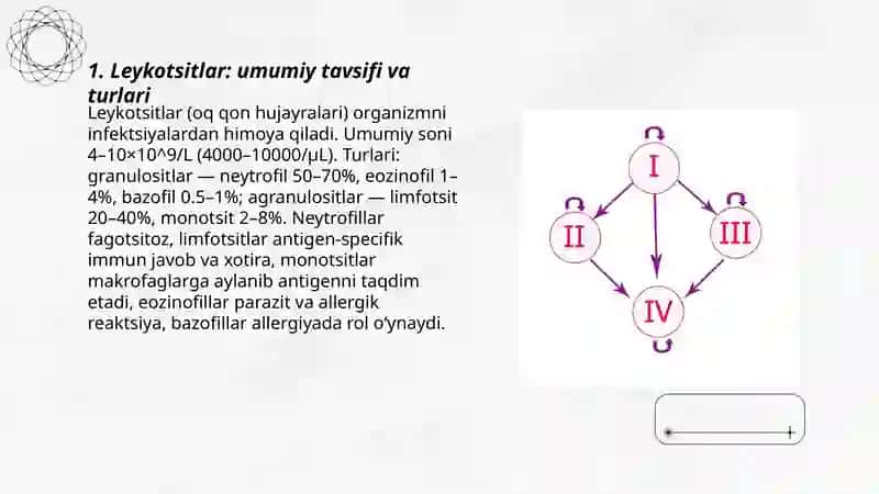 Leykotsitlar. Qon guruhlari. Rezus faktor. On quyish asoslari 3
