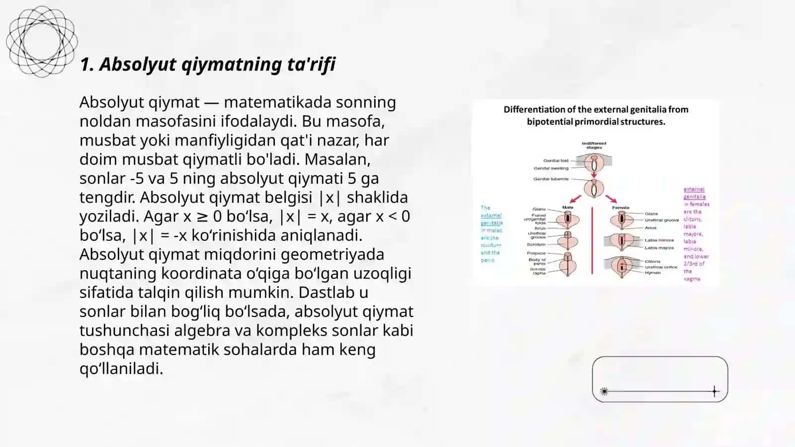 Absolyut qiymatlar ularning turlari va olish usullari 3