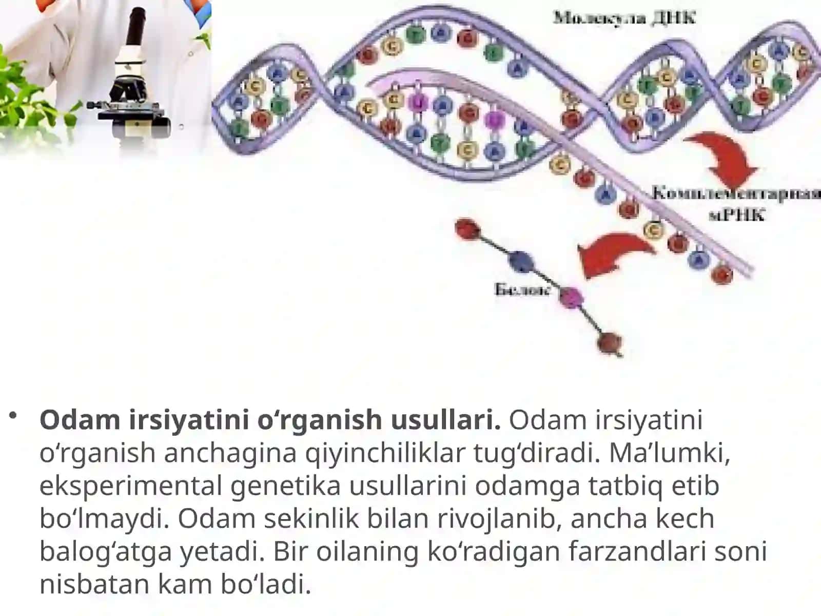 Odamgenetikasining o'rganish usullari 3