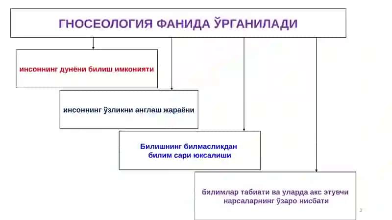 БИЛИШ НАЗАРИЯСИ: ЙЎНАЛИШЛАРИ ВА АСОСИЙ МУАММОЛАРИ 3