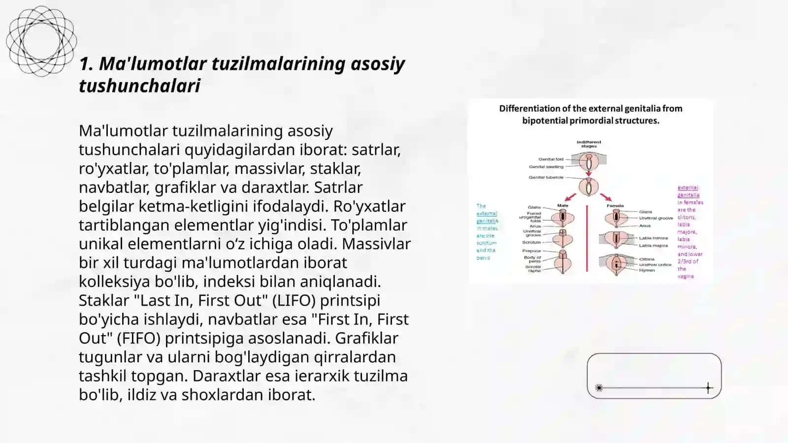 Ma'lumotlarning sozlangan turlari 3