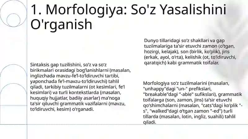 Grammatika. Morfologiya. Sintaksis. Grammatik kategoriyalar haqida 3