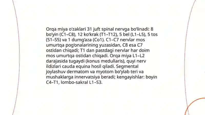 Orqa miya ózaklarining joylashuvi va ularning ahamiyati 3