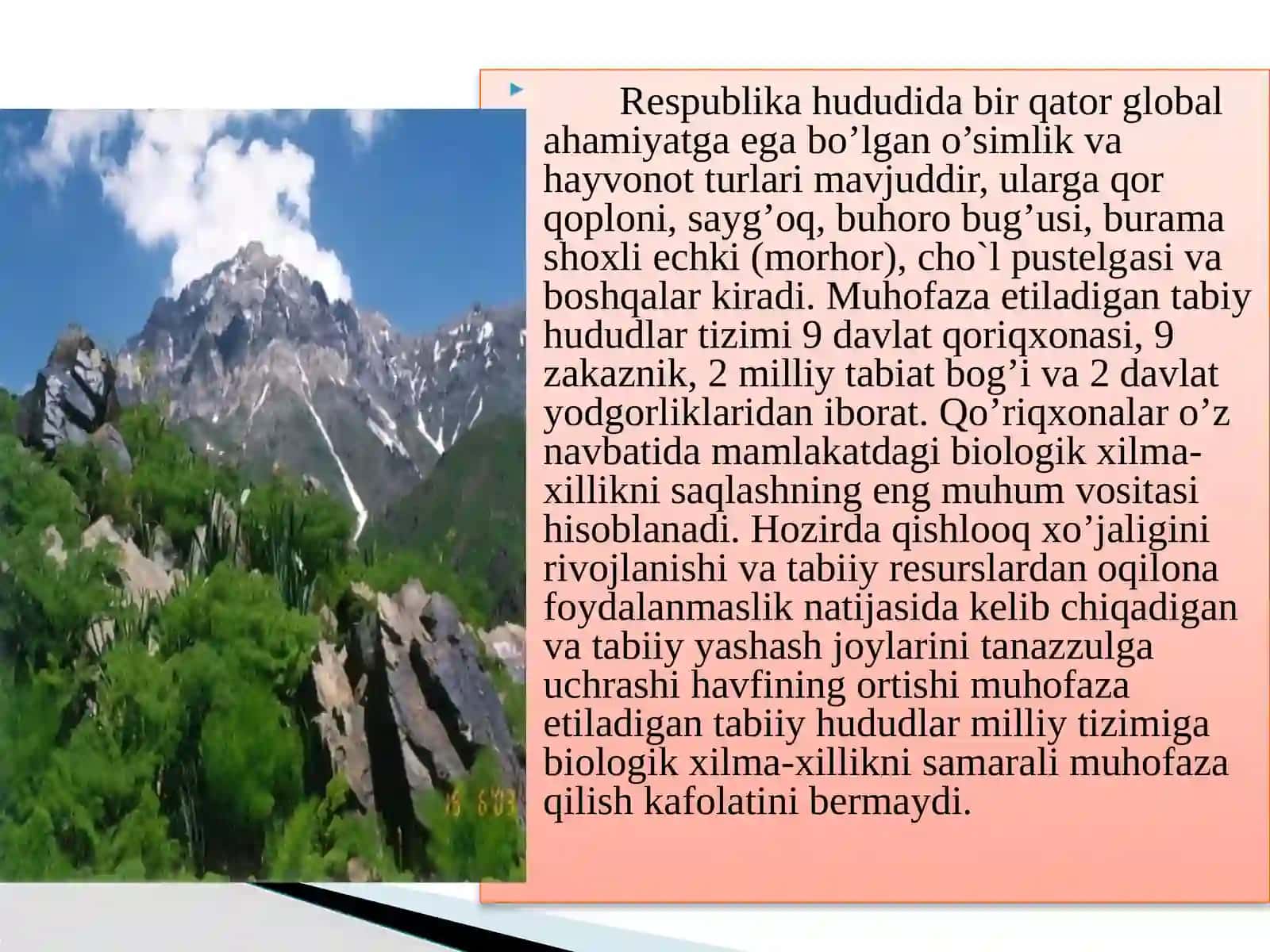 O’zbekiston qo’riqxonalari 3