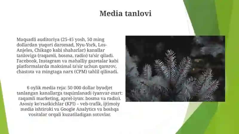 Media tanlovi 3