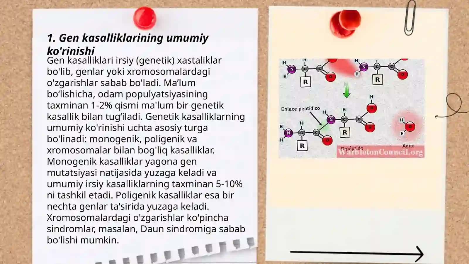 Gen kasalliklarining aminokislotalarni bilan ahamiyati 3
