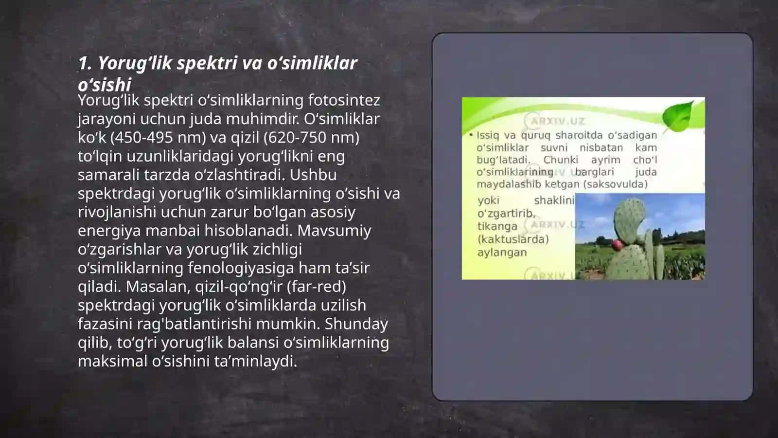 Yorugʻlik spektri va oʻsimliklar oʻsishi 3