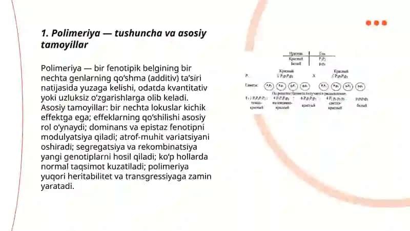 Polimeriya va Transgressiya 3