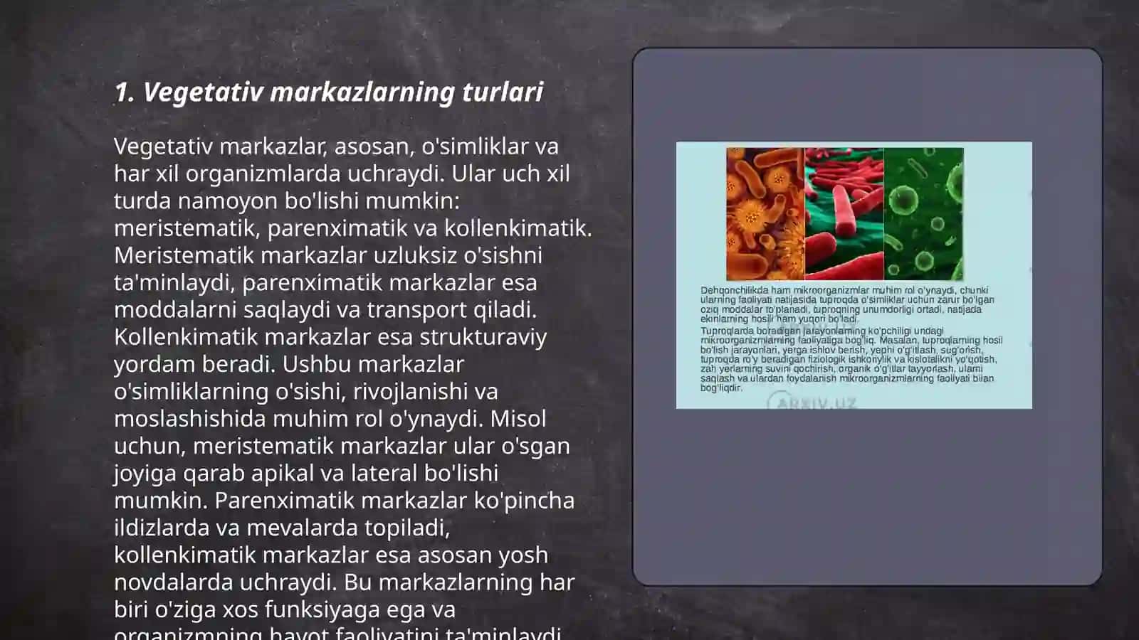 Vegetativ Oliy Markazlar va Ularining Funksional Ahamiyati 3