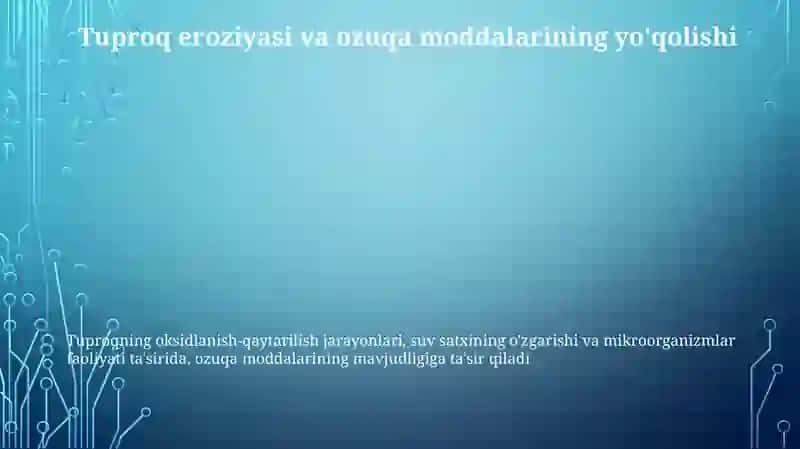 Tuproqning Oksidlanish-qaytarilish Jarayonlari 3