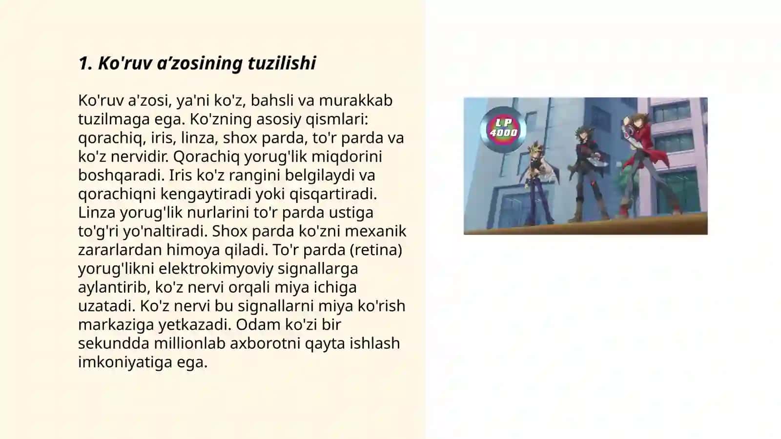 Ko'ruv a’zosi 3