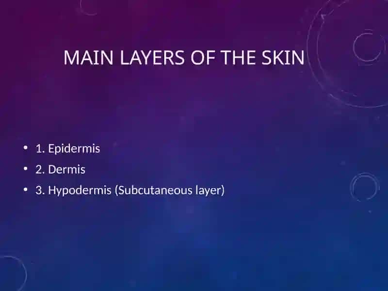 Skin Layers 3