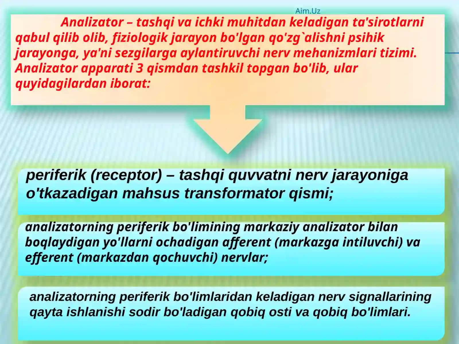 Sezgi 3