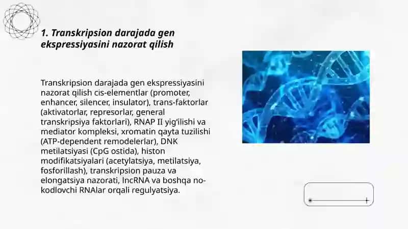 Transkripsion darajada gen ekspressiyasini nazorat qilish 3