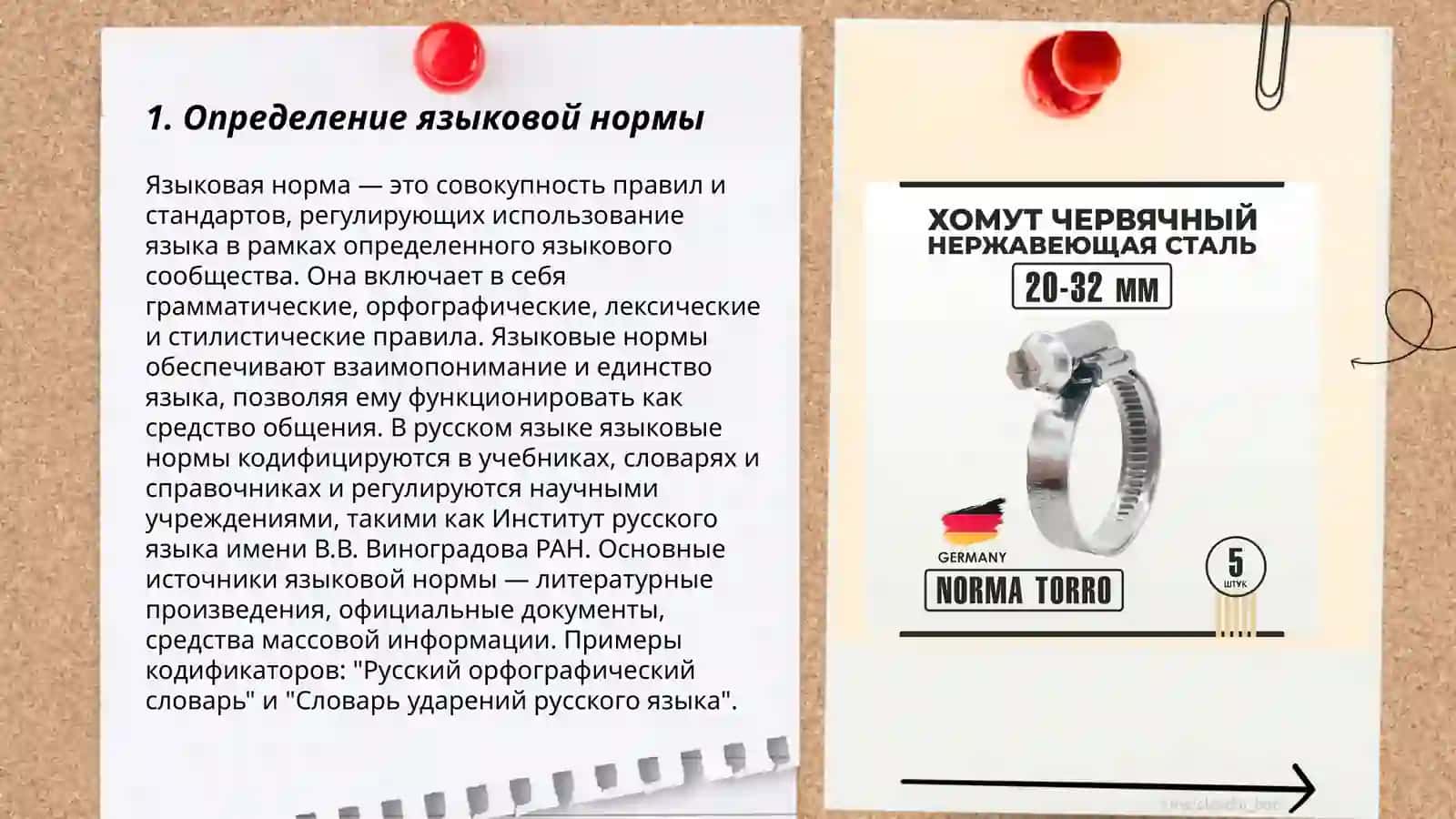 Языковая норма. Понятие, типы норм. Лексическая тема "Моя Родина -Узбекистан" 3