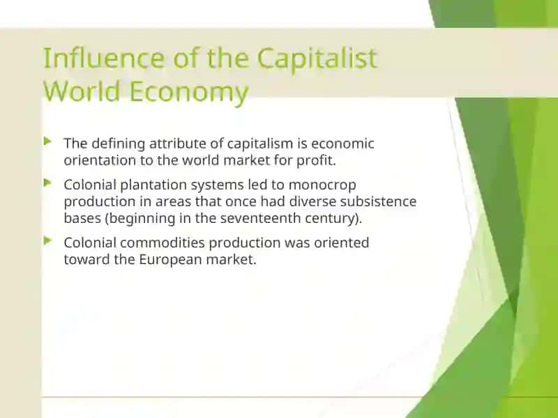 The Emergence of the World System 3