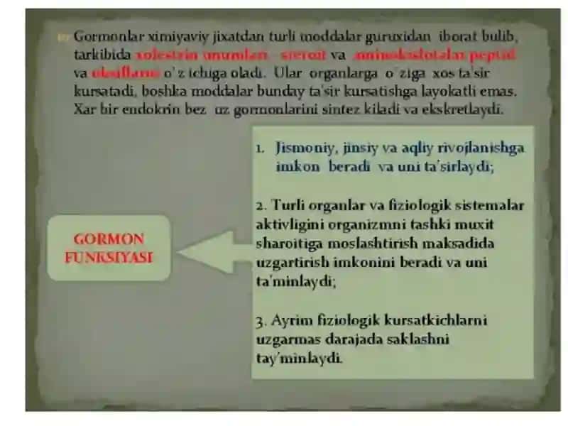 Timus tuzilishi va vazifalari 3