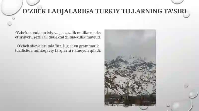 O'zbek tili dialektlari va shevalari 3