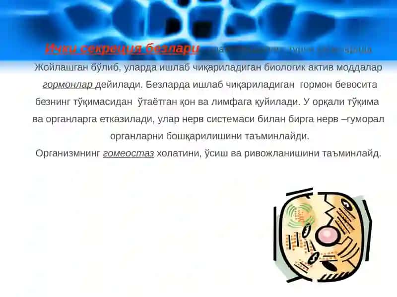 Jinsiy bezlarning endokrin funktsiyasi va ularning funksiyalarining buzilishi va bog'liq kasalliklar 3
