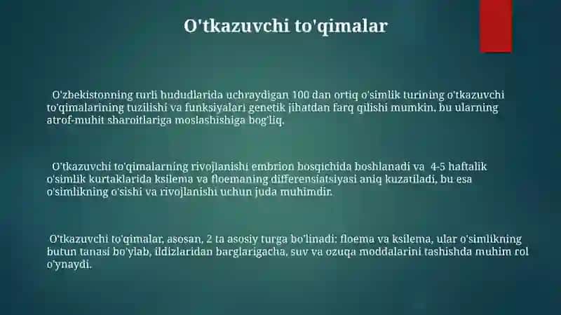 O'simlik to'qimalarini kelib chiqishiga vs joylanishiga koʻra klassifikatsiyasi 3