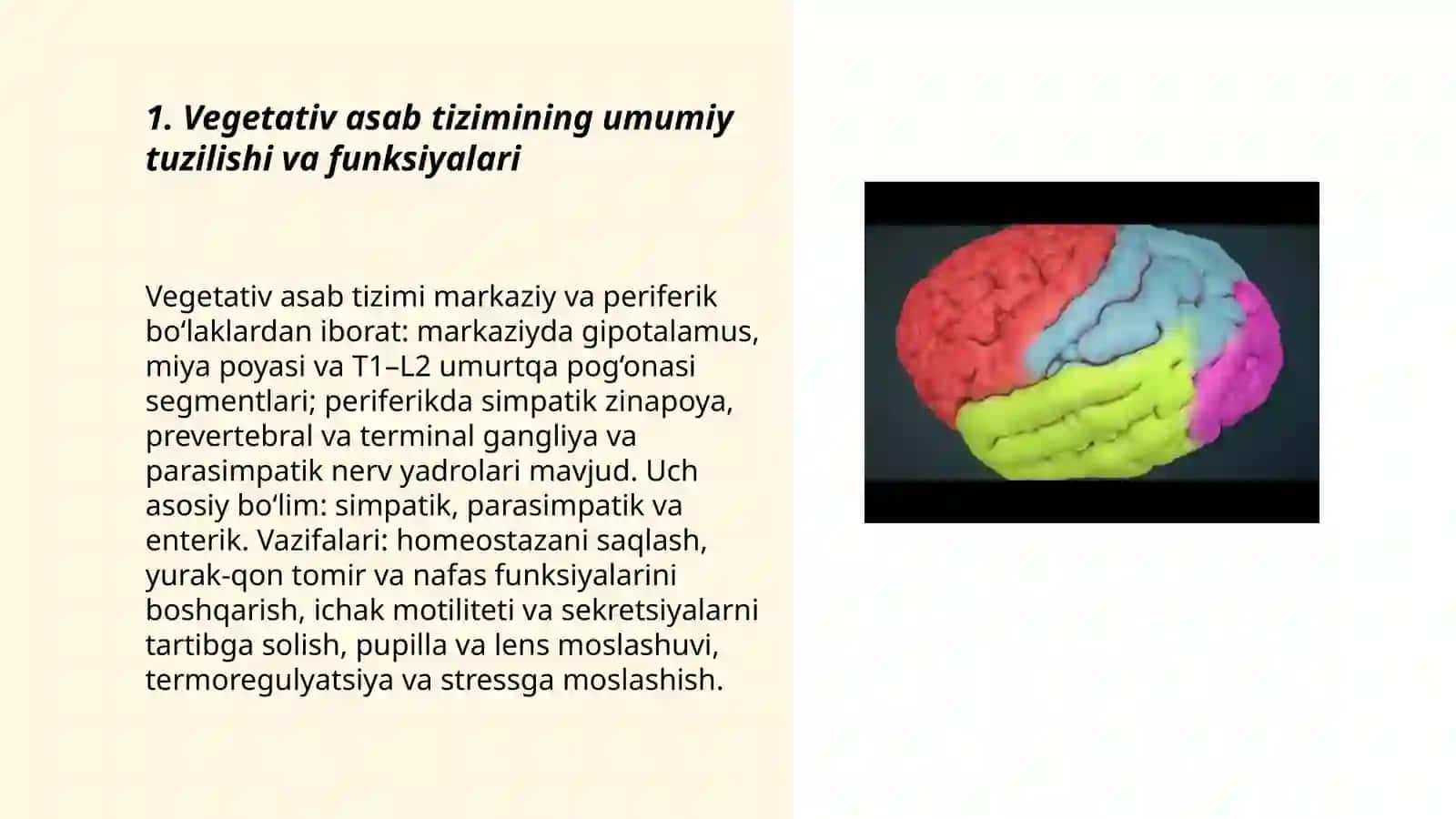 Vegetativ asab tizimining anatomiyasi va fiziologiyasi 3