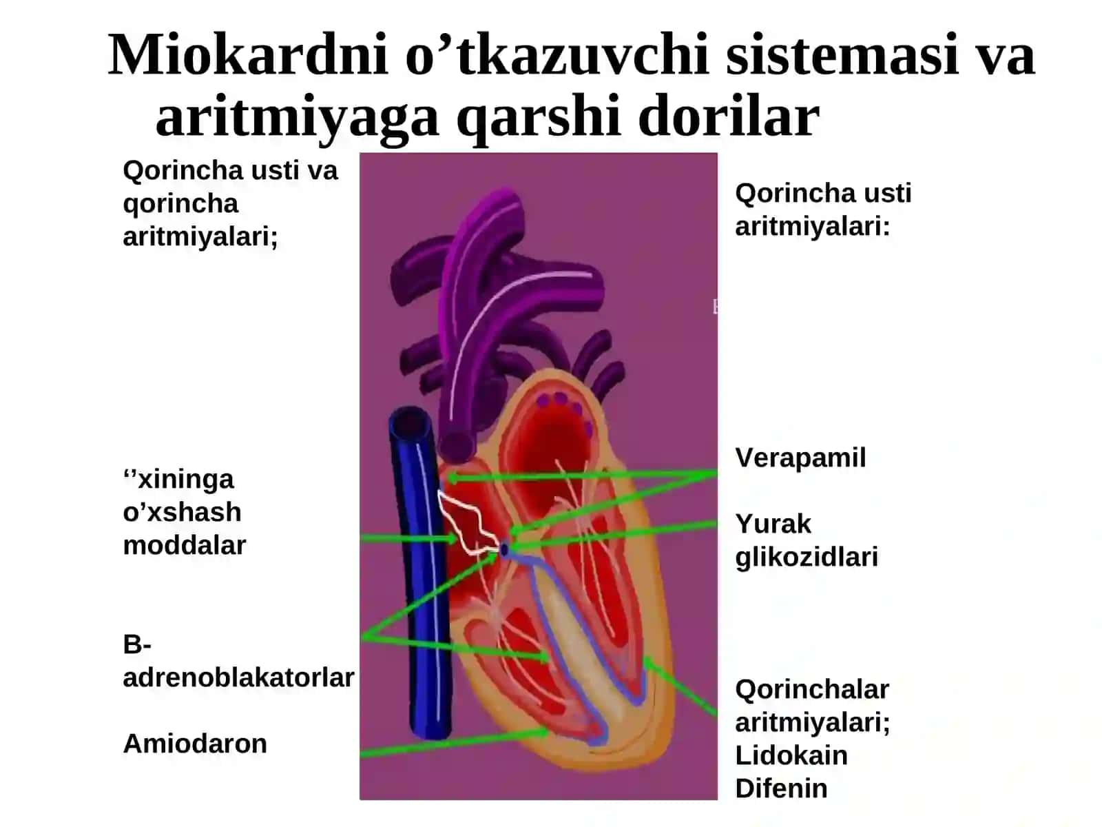 ARITMIYAGA QARSHI DORILAR 3