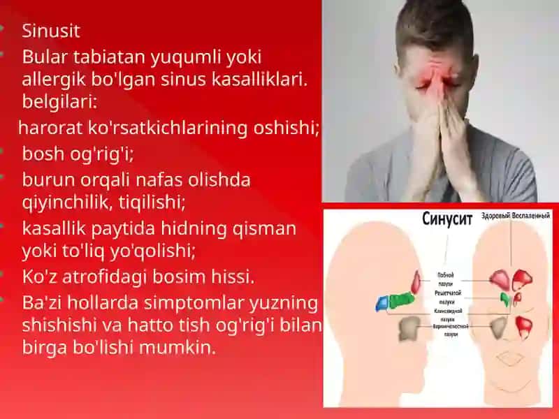 Nafas olish sistemasi 3