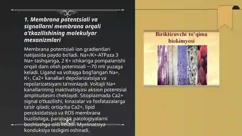 Signallarni membrana orqali oʼtishi. Membranalar buzilishlarini paralogik jarayonnini kelib chiqishidagi oʼrni 3